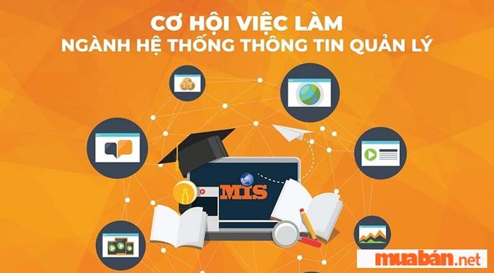 Ngành hệ thống thông tin có tiềm năng phát triển như thế nào?