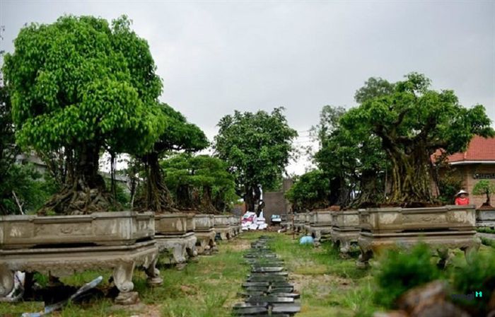 Nhà thờ Tổ của Hoài Linh.