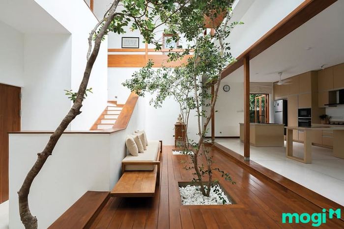 Mẫu thiết kế giếng trời cầu thang kiểu 3