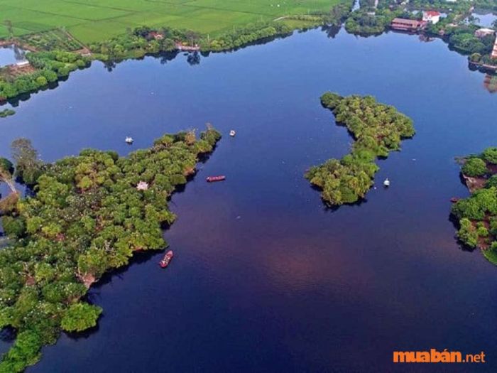 Đảo Cò Chi Lăng Nam – Một trong những địa danh đáng khám phá tại Hải Dương