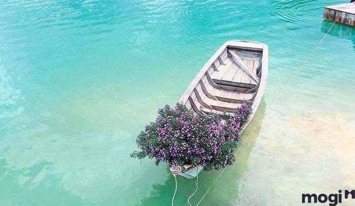 Bạn có thể chọn từ 4 mốc thời gian lý tưởng để chiêm ngưỡng vẻ đẹp của Hồ Đá Xanh Vũng Tàu