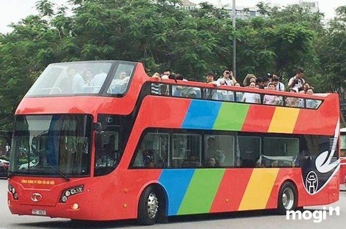 Khu Du Lịch Tà Đùng - Điểm Đến Hấp Dẫn Cho Mọi Du Khách