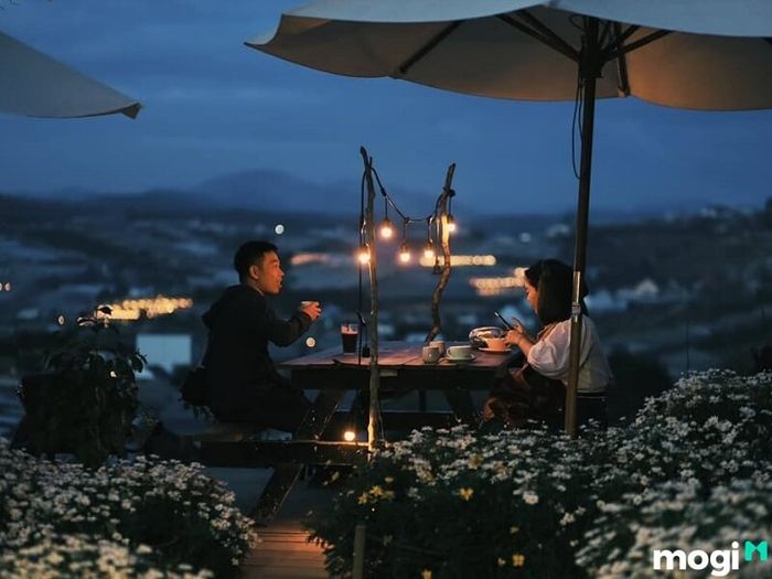 Ban đêm, cà phê Túi Mơ To trở thành nơi lý tưởng để tận hưởng không gian tĩnh lặng, nghe nhạc và chiêm ngưỡng ánh sáng huyền bí từ các nhà kính.
