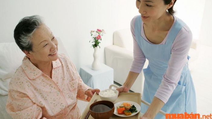 có nên thuê người giúp việc