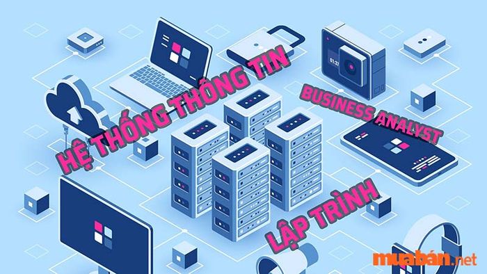 Nguyên lý hoạt động của hệ thống thông tin là gì?