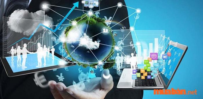 Sinh viên tốt nghiệp ngành hệ thống thông tin có thể làm những công việc gì?