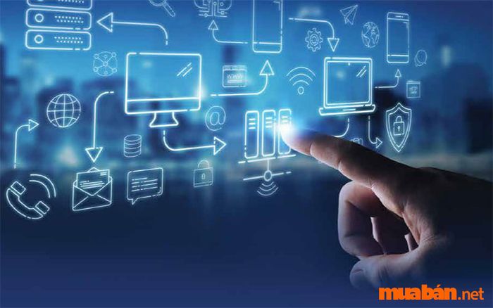 Kỹ sư quản lý hệ thống thông tin đóng vai trò then chốt trong mọi tổ chức, đảm bảo các hệ thống công nghệ vận hành trơn tru.