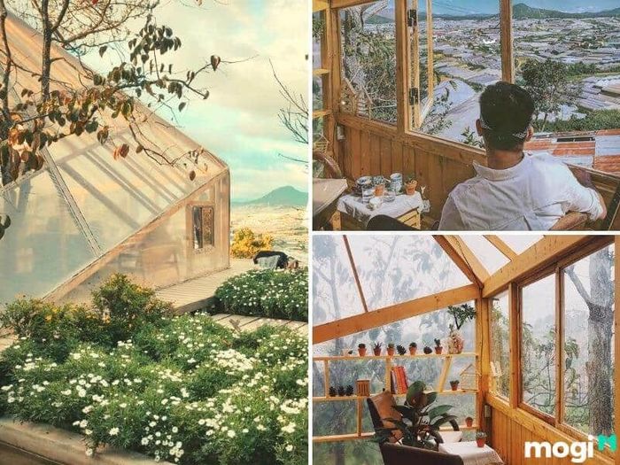 Không gian của nhà lồng kính tại đây thật sự đặc biệt, mang đến cảm giác nhẹ nhàng, gần gũi và hoàn hảo cho những ai yêu thích sự yên tĩnh, thiên nhiên và những bức ảnh đẹp.