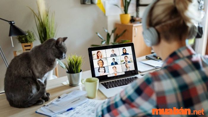WFH là gì? Những lợi ích và khó khăn khi làm việc từ xa cần lưu ý