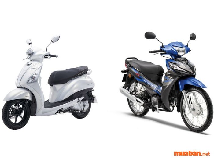Lựa chọn giữa xe ga và xe số?