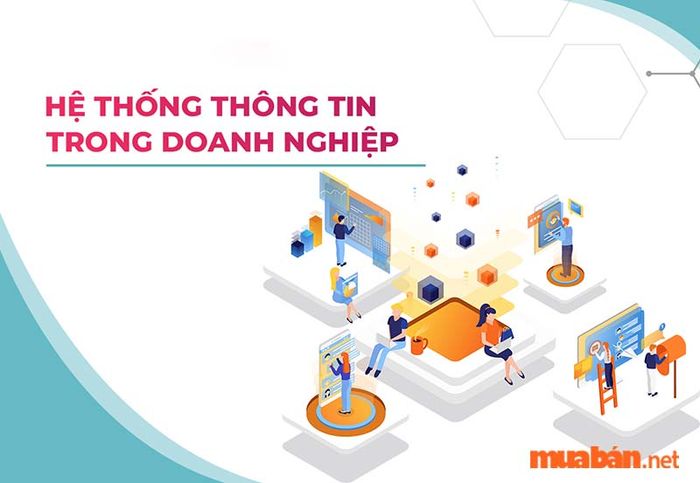 Sau khi tốt nghiệp ngành hệ thống thông tin, bạn có thể chọn làm việc ở vị trí nhân viên kinh doanh phần mềm.