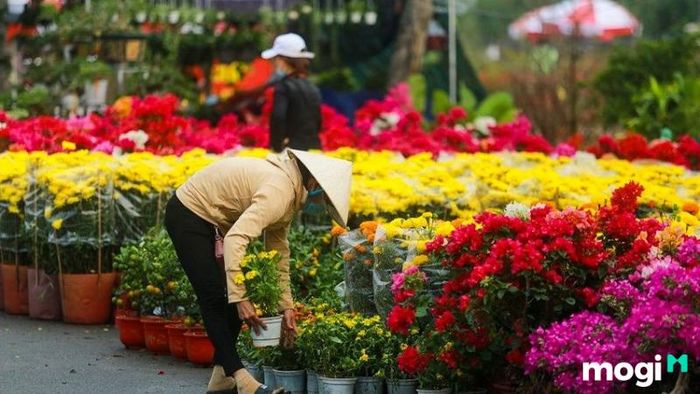 hoạt động đón Tết truyền thống