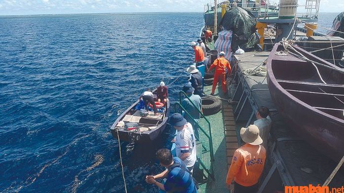 Tình hình nguồn nhân lực và mức lương ngành hàng hải hiện nay