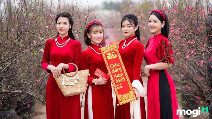 hoạt động ngày Tết