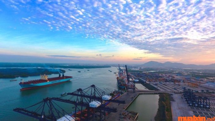 Ngành hàng hải là gì? Tổng quan về ngành hàng hải