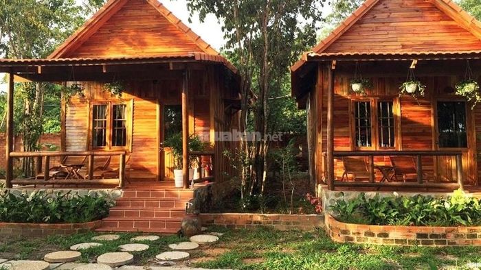 Cây xanh được trồng quanh ngôi nhà và trong không gian sống, mang lại sự tươi mới, gần gũi với thiên nhiên.