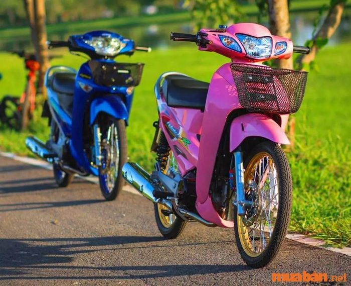 Wave độ kiểng đẹp mắt