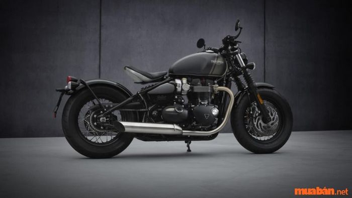 Xe moto Triumph - TRIUMPH MODERN CLASSICS - Triumph Bonneville Bobber