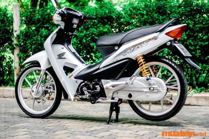 Wave độ kiểng tỏa sáng với vẻ đẹp lung linh, hút mọi ánh nhìn