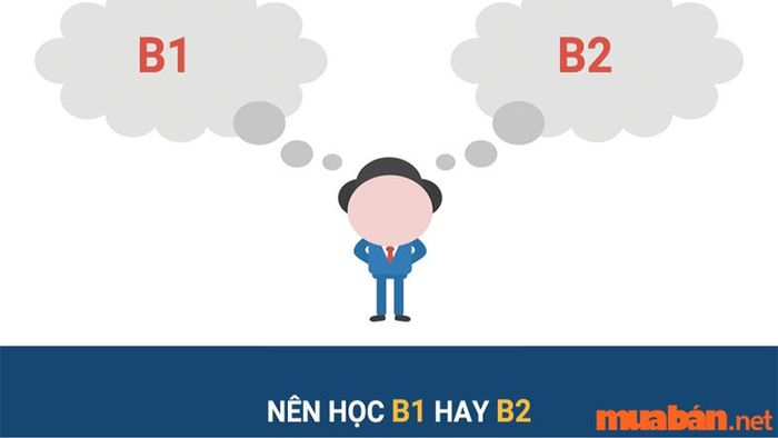 nên học b1 hay b2