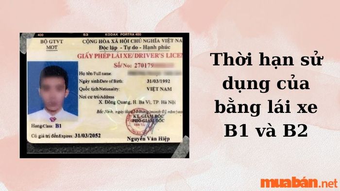 Lựa chọn học bằng B1 hay B2?