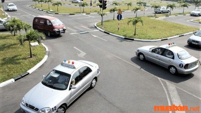 Lựa chọn giữa bằng lái B1 và B2