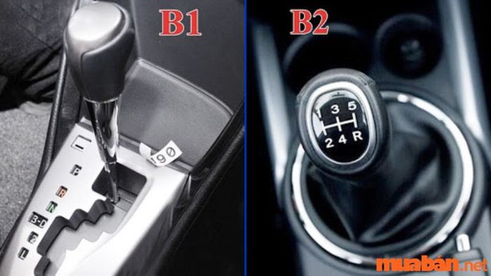 Nên lựa chọn học bằng B1 hay B2?