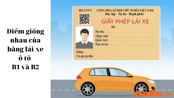 Lựa chọn học bằng B1 hay B2?