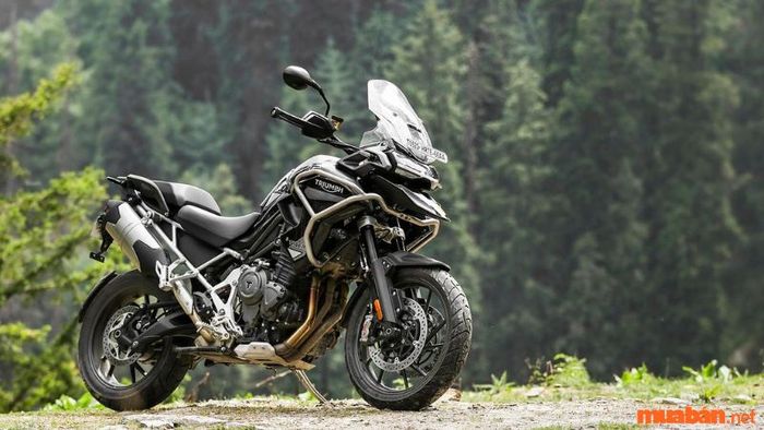 Triumph Tiger Explorer