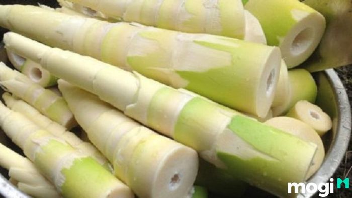 bí quyết bảo quản măng tươi