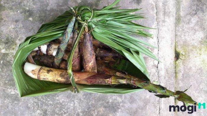 cách bảo quản măng tươi