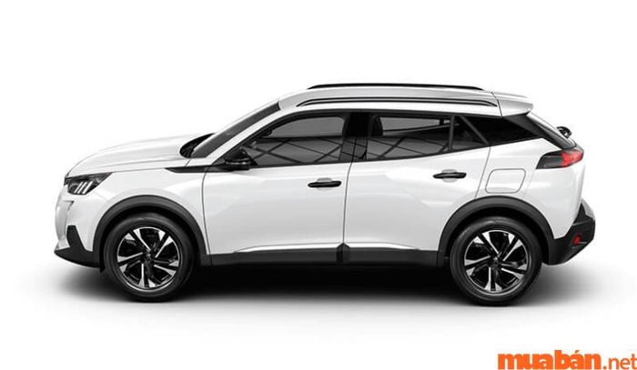 Tại thị trường Việt Nam, có tổng cộng 9 phiên bản xe Peugeot được phân phối.
