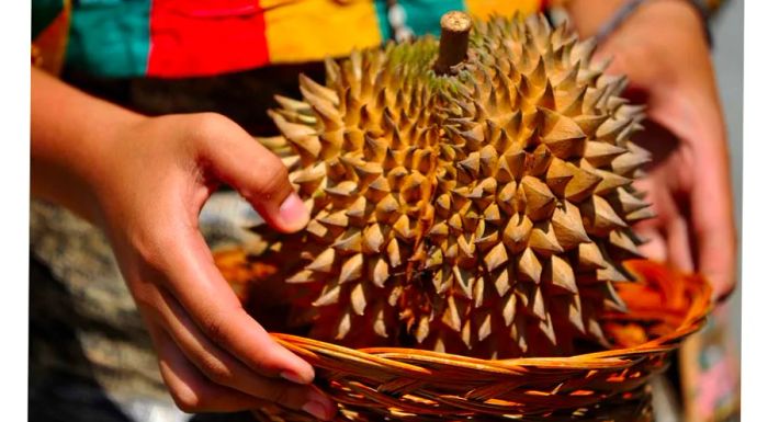 A spiky durian in Davao City, Philippines.