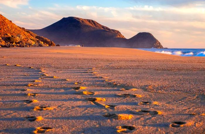 Located about an hour north of Cabo San Lucas, Todos Santos is home to several spacious beaches where you can truly stretch out and relax.