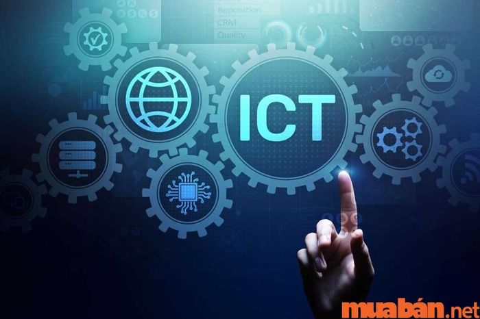 Tham gia chương trình Global ICT mang đến rất nhiều cơ hội mới cho các bạn học viên, mở ra những con đường phát triển nghề nghiệp và học vấn rộng mở.