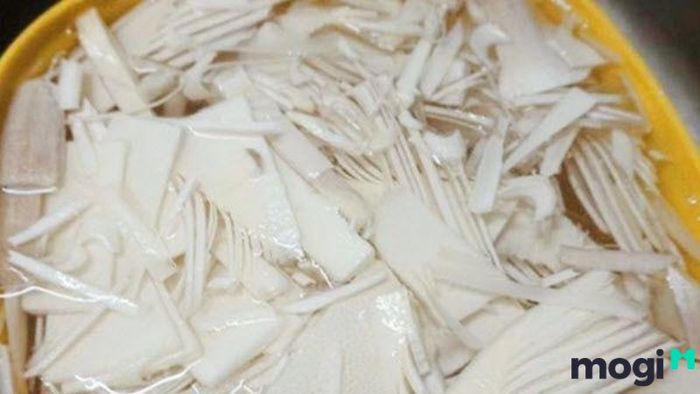 Cách bảo quản măng tươi