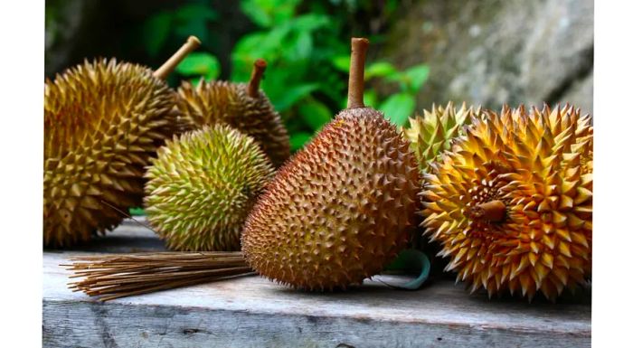 A variety of durians at Green Acres durian farm, located in Balik Pulau, Penang, Malaysia.