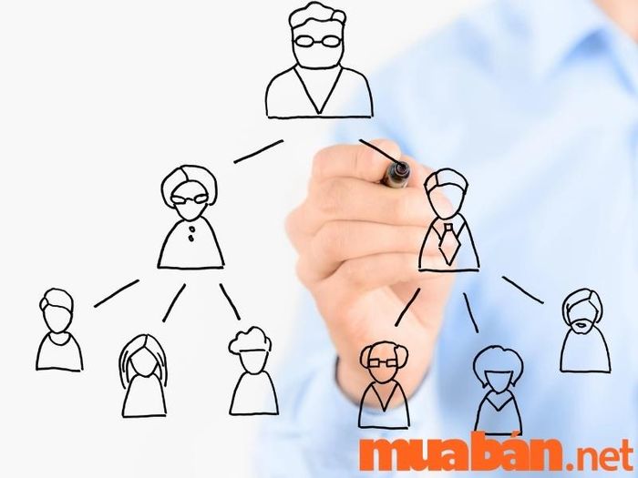 Đa cấp là mô hình kinh doanh gì?