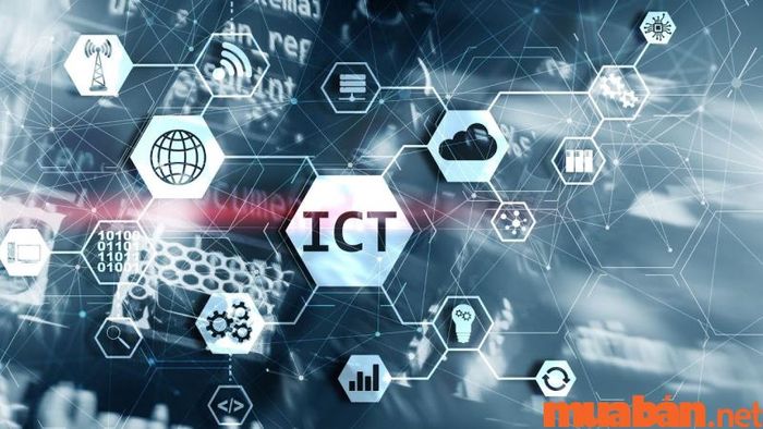 Bạn có thể tìm việc ICT ở đâu?