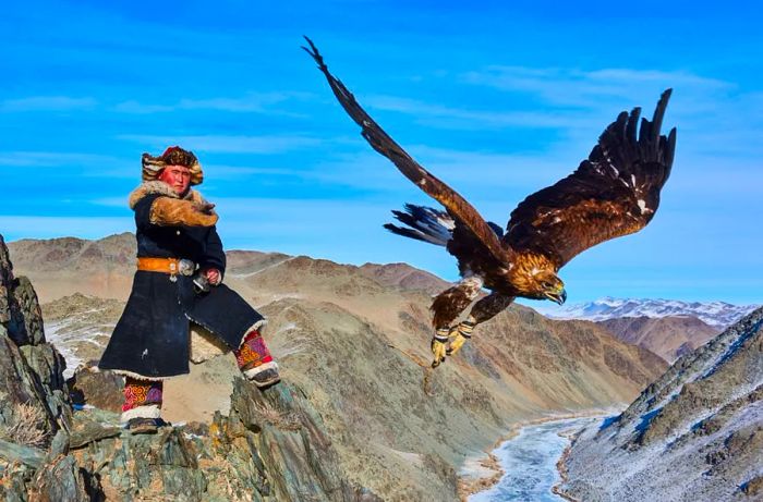 A Mongolian eagle hunter releases his golden eagle to catch prey.