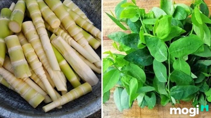 cách bảo quản măng tươi