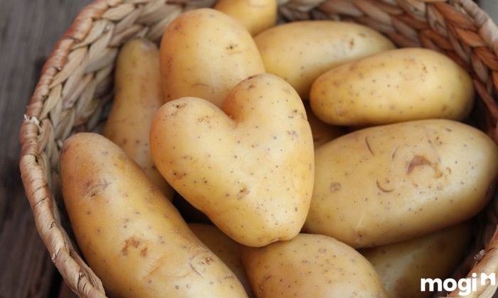 Cách tẩy mốc quần áo màu bằng khoai tây