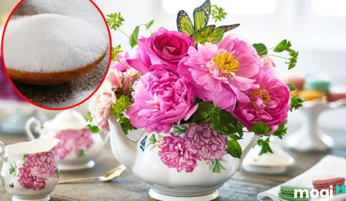 Đường trắng được xem là một trong những nguyên liệu giúp hoa giữ được độ tươi lâu hơn.