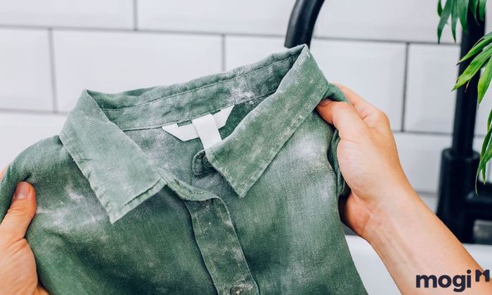 Lý do tại sao quần áo lại bị mốc?