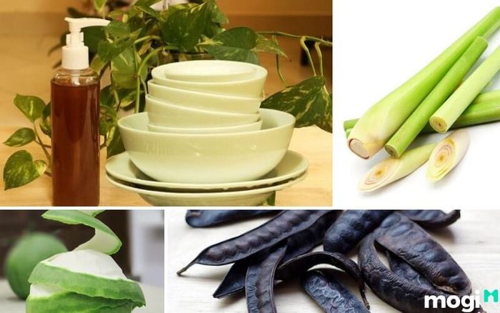 Công thức nước rửa chén từ sả, vỏ bưởi và bồ kết