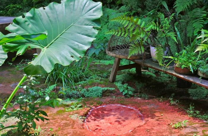 The footprints of two sauropods were found in Leshan, Sichuan, China.