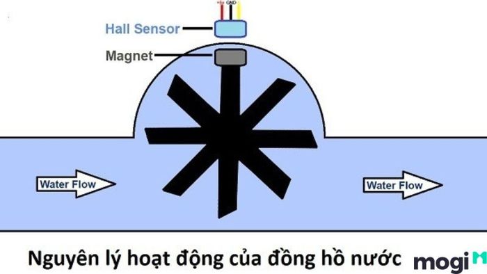 Hướng Dẫn Đọc Đồng Hồ Nước