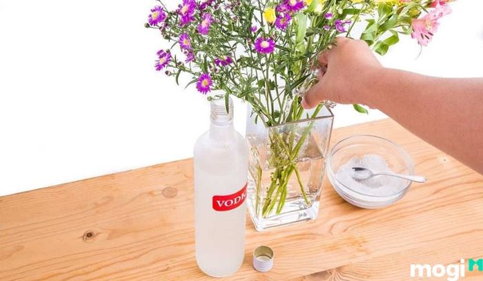Rượu vodka có thể sử dụng để giúp hoa tươi lâu hơn, ngăn ngừa vi khuẩn phát triển.