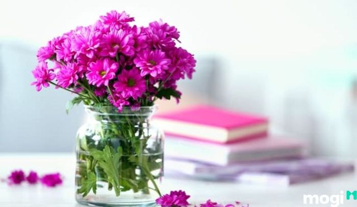 Hoa cần được bổ sung dưỡng chất đều đặn để duy trì sự tươi mới