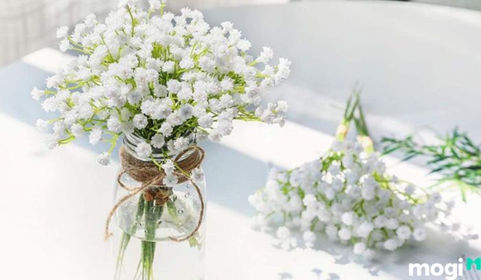 Chọn vị trí có nhiều ánh sáng tự nhiên để hoa phát triển tốt hơn